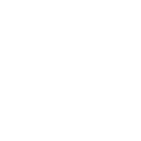 Pulso Consulting